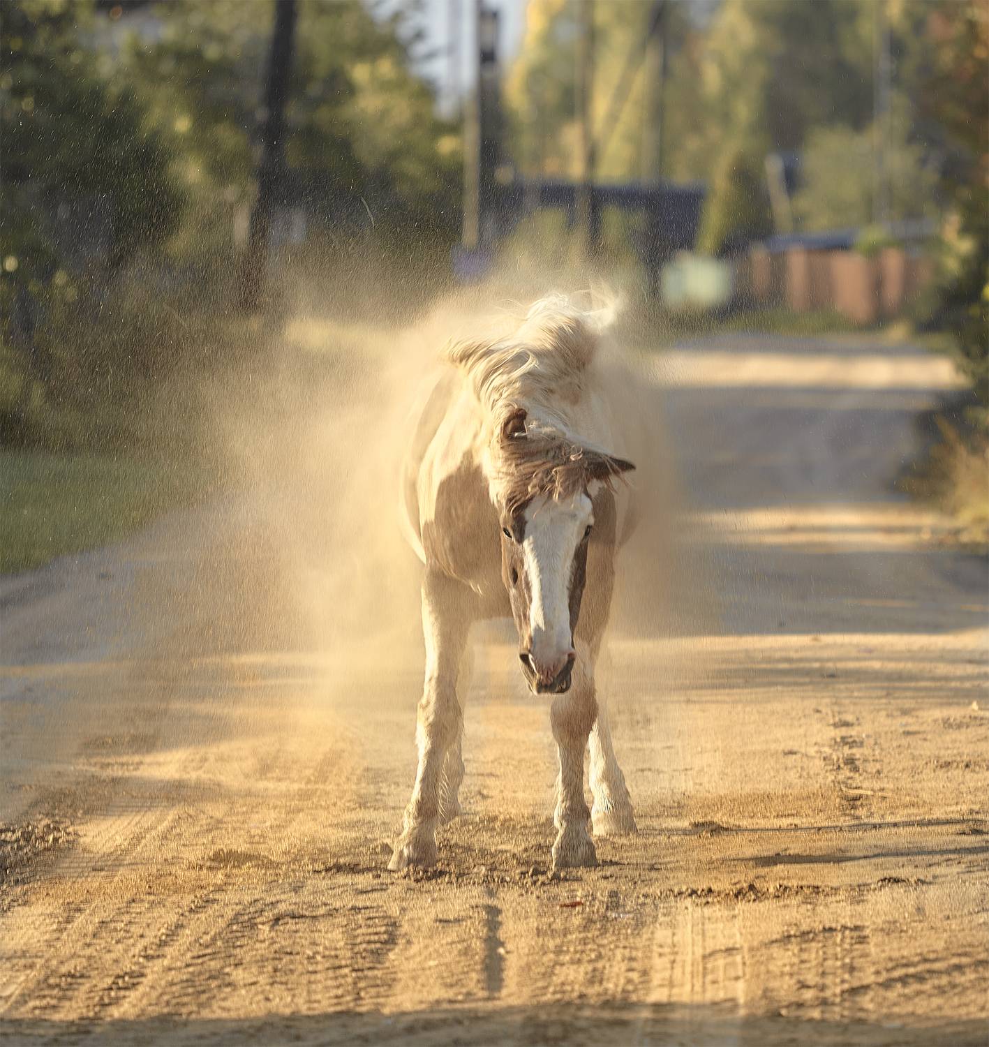 , Геннадий Васенков
