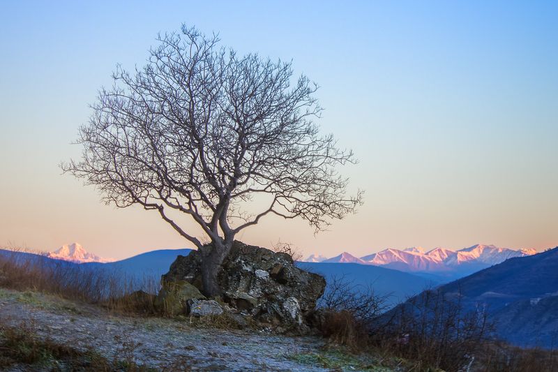 Холодный рассвет в Мцхете (Грузия) фото превью