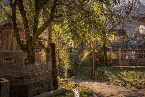 Morning Light In Kapnistavi Village