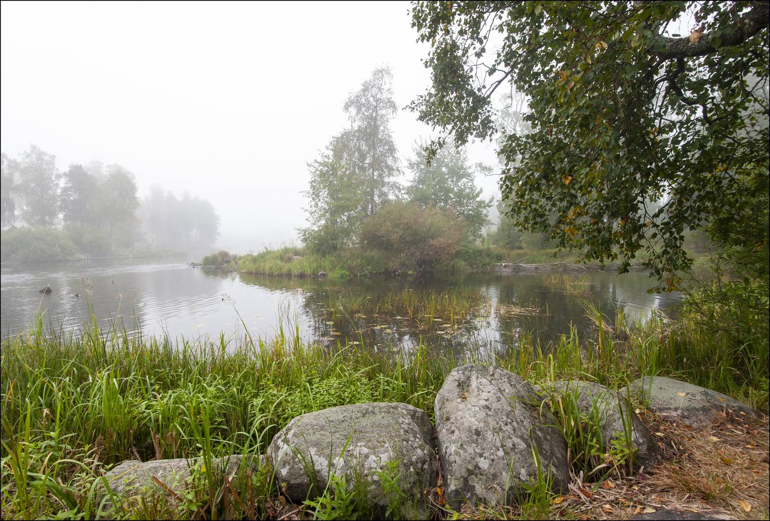 , Георгий Сапожников