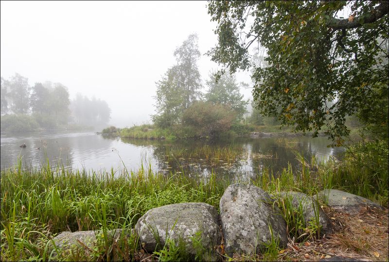 Туман фото превью