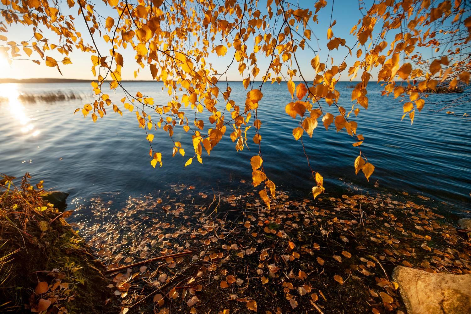 , Дарья Васильева