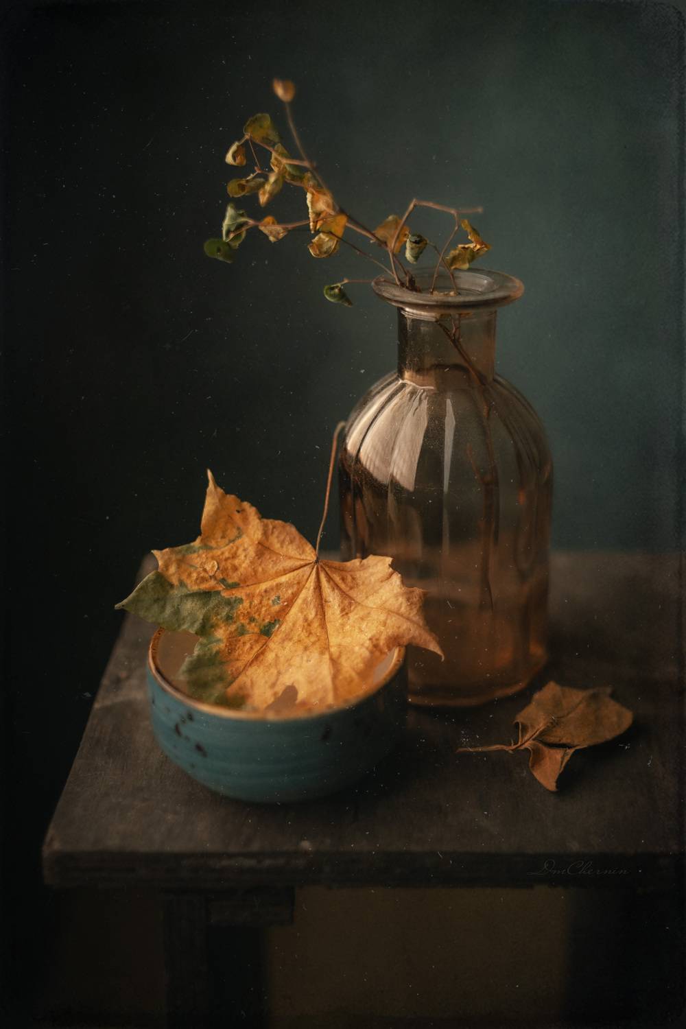 , Чернин Дмитрий