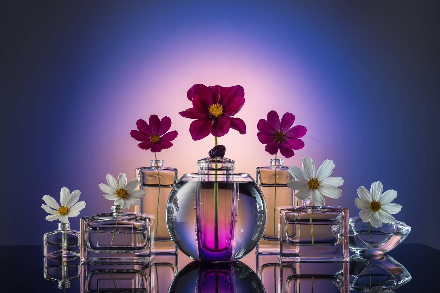 , Сизов Кирилл