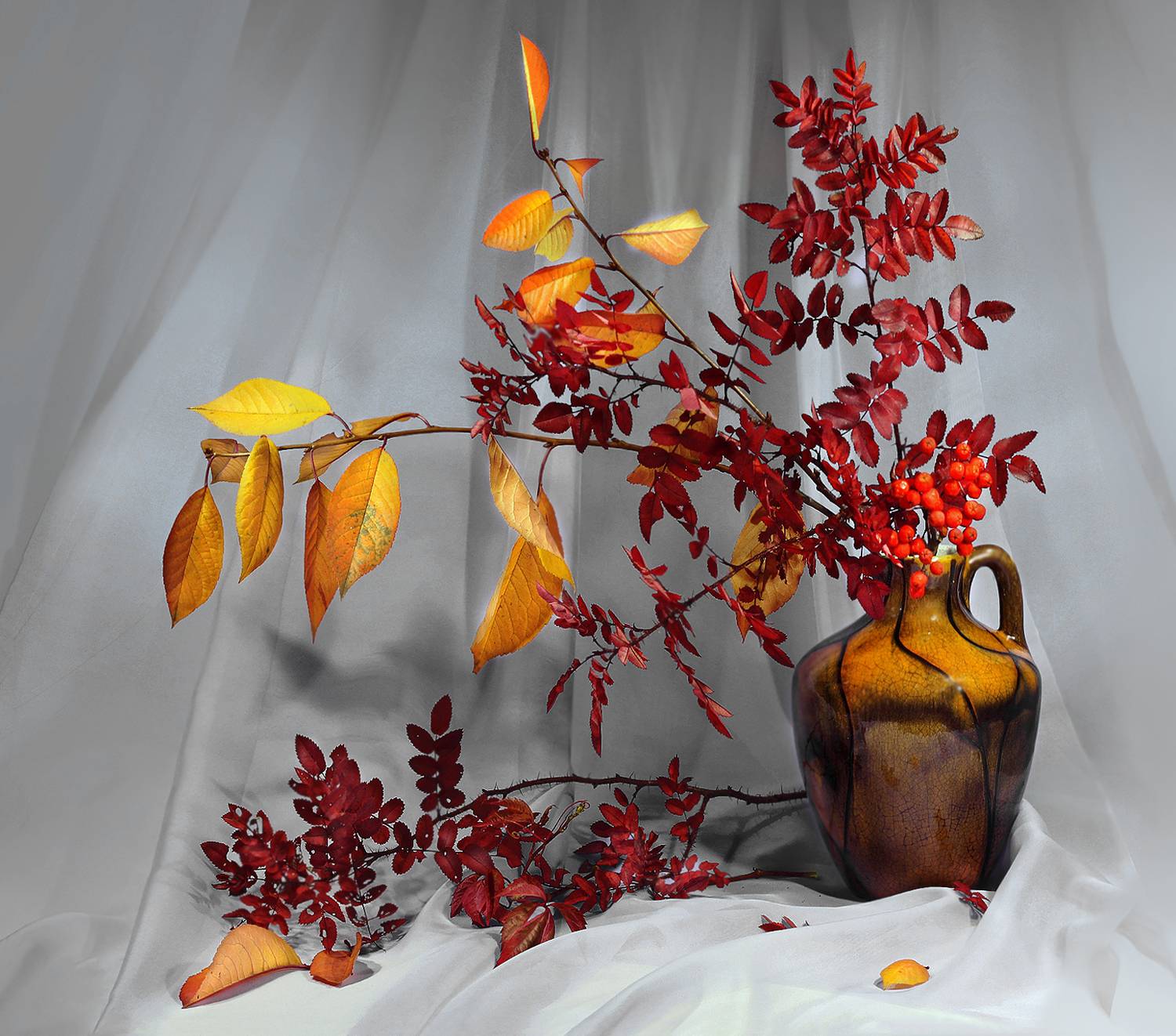 , Заболотская Ольга