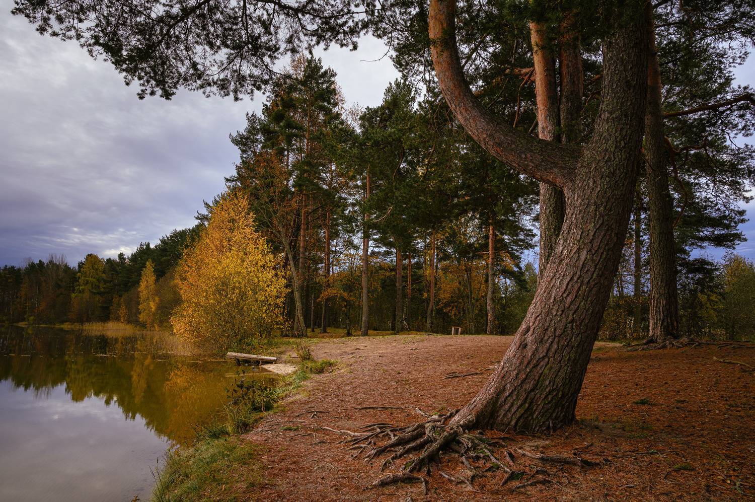 озеро снетковское, Бабурин Олег