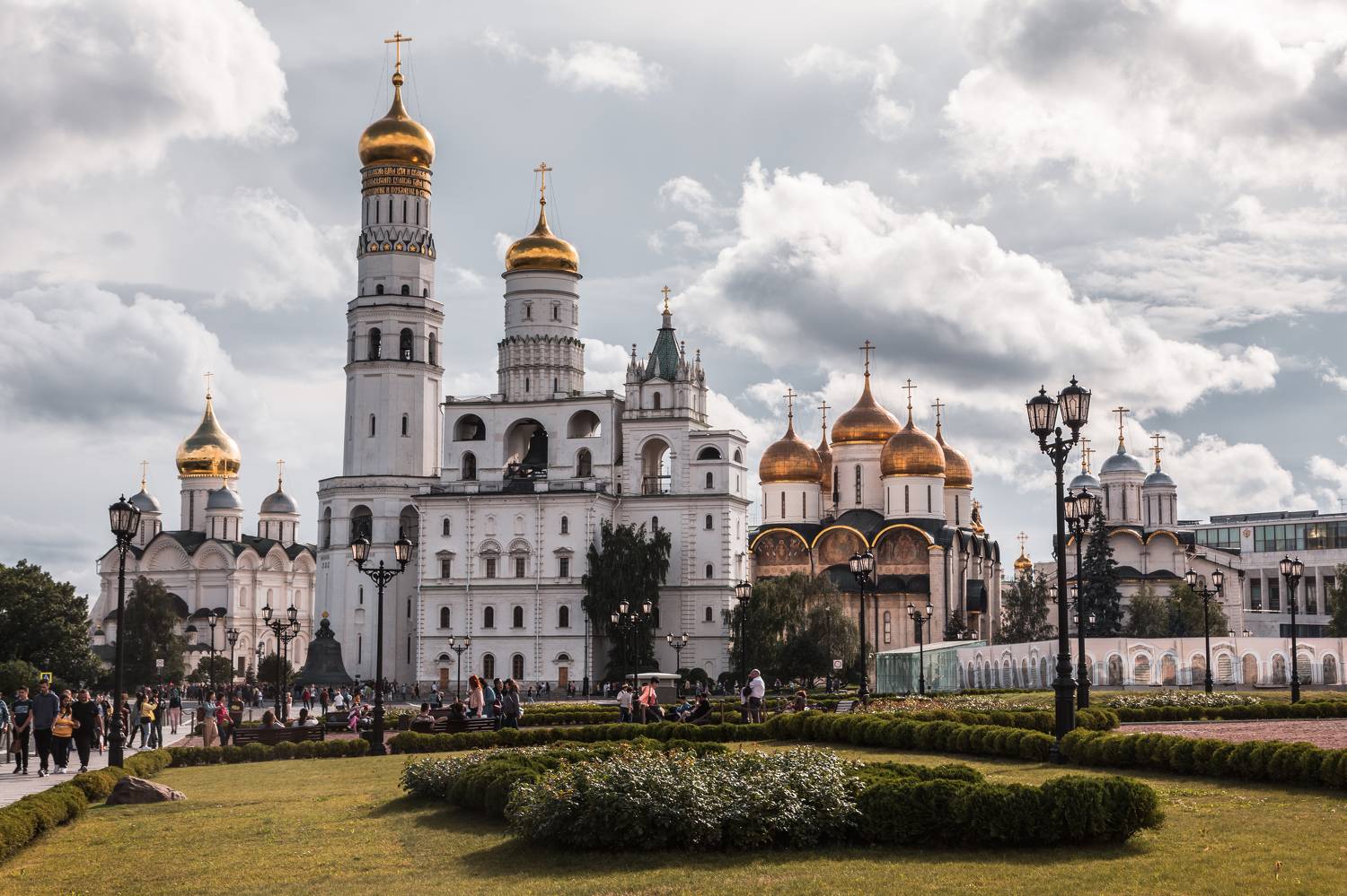 , Трепольский Дмитрий