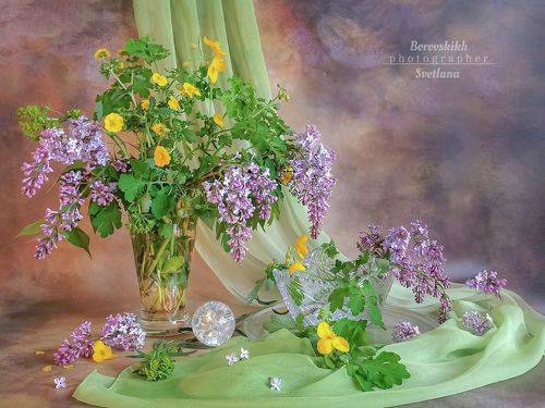 Весна. Сирень...