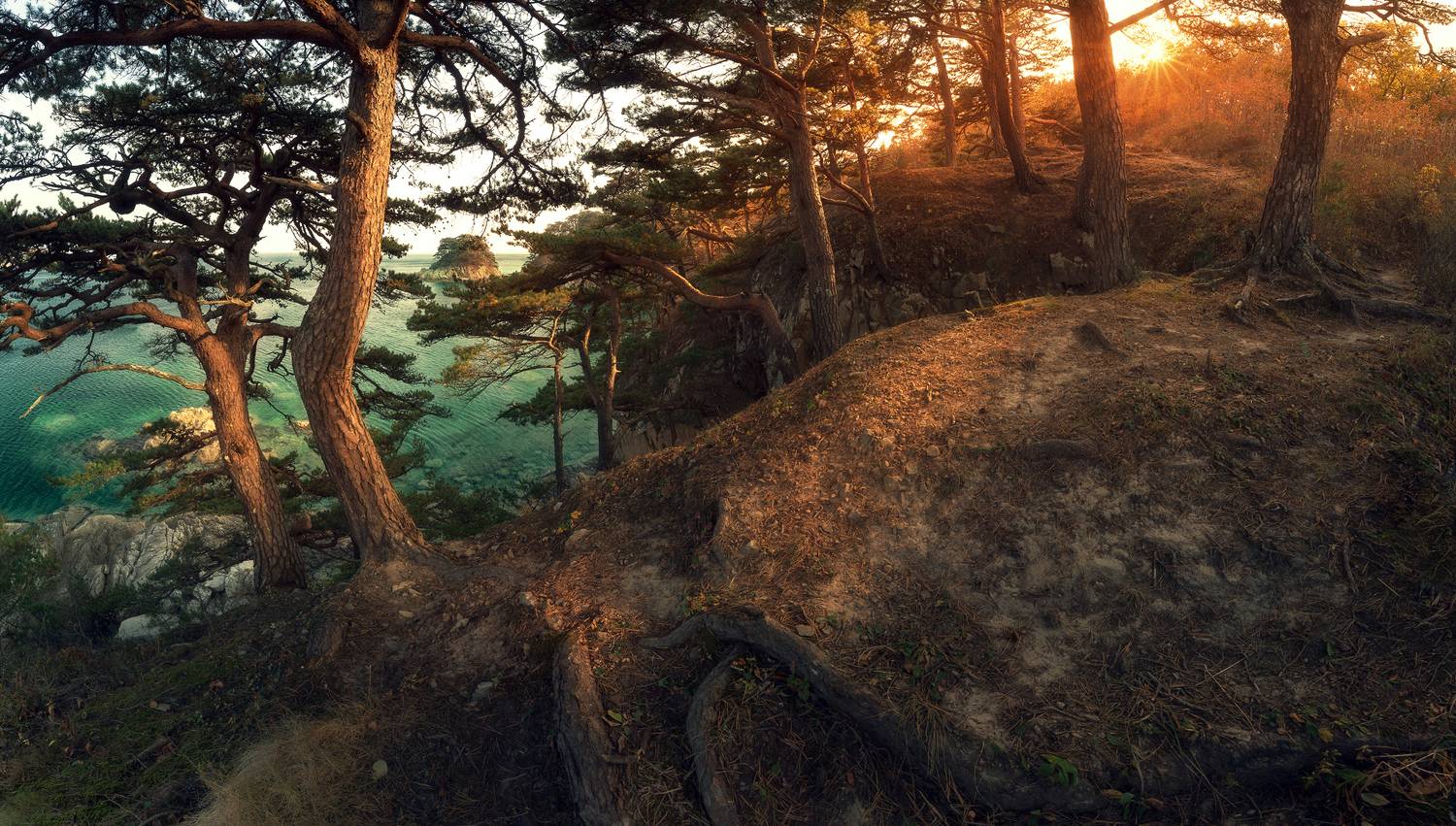 , Андрей Кровлин