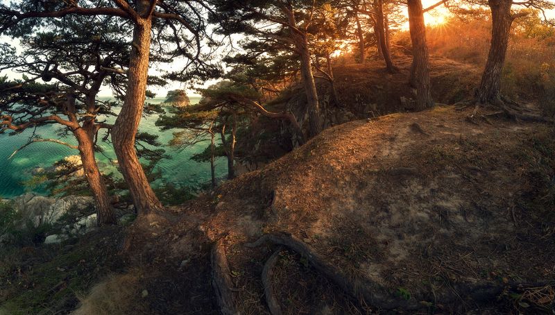 *** фото превью