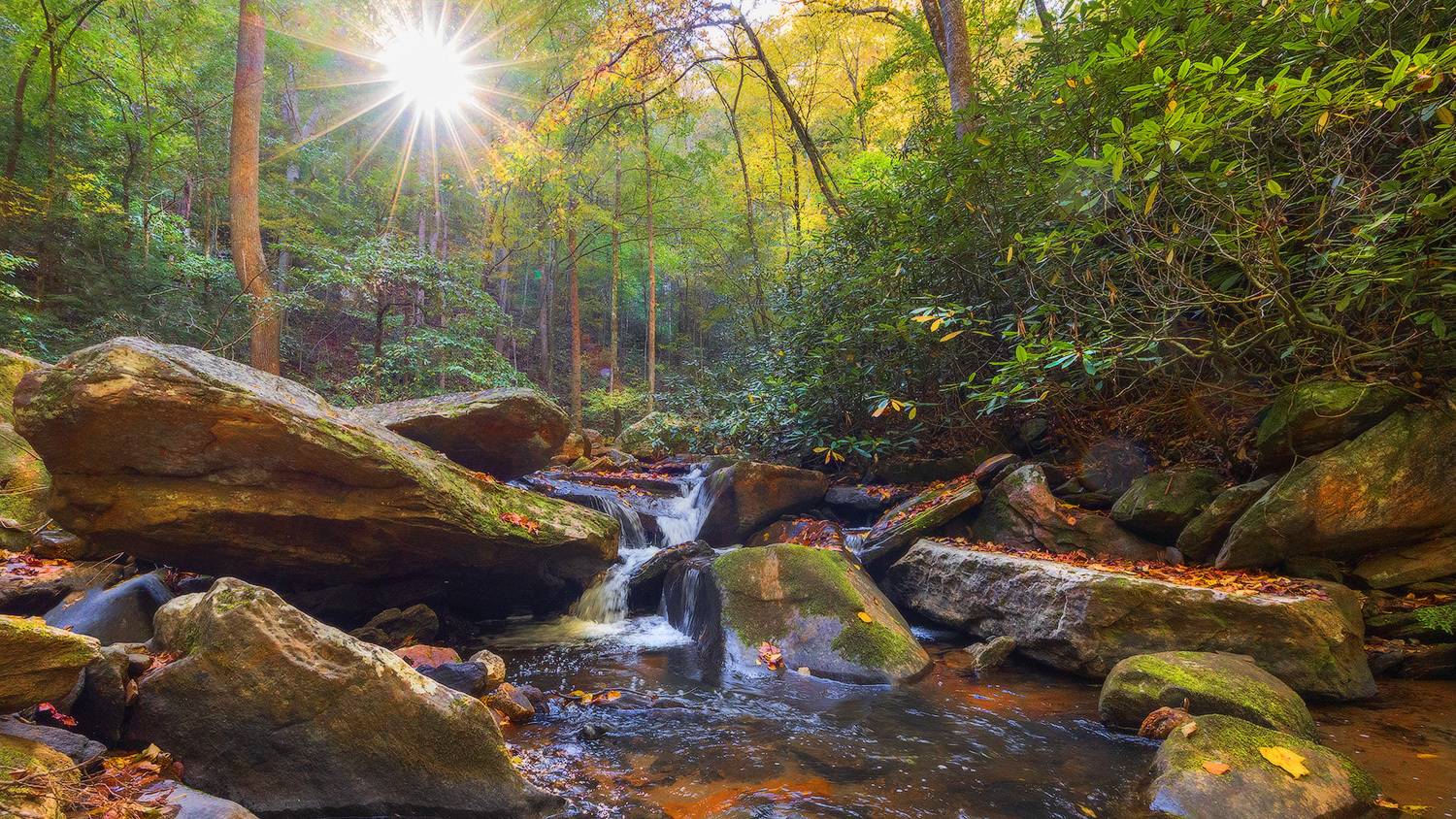 , Леонид Дьяченко