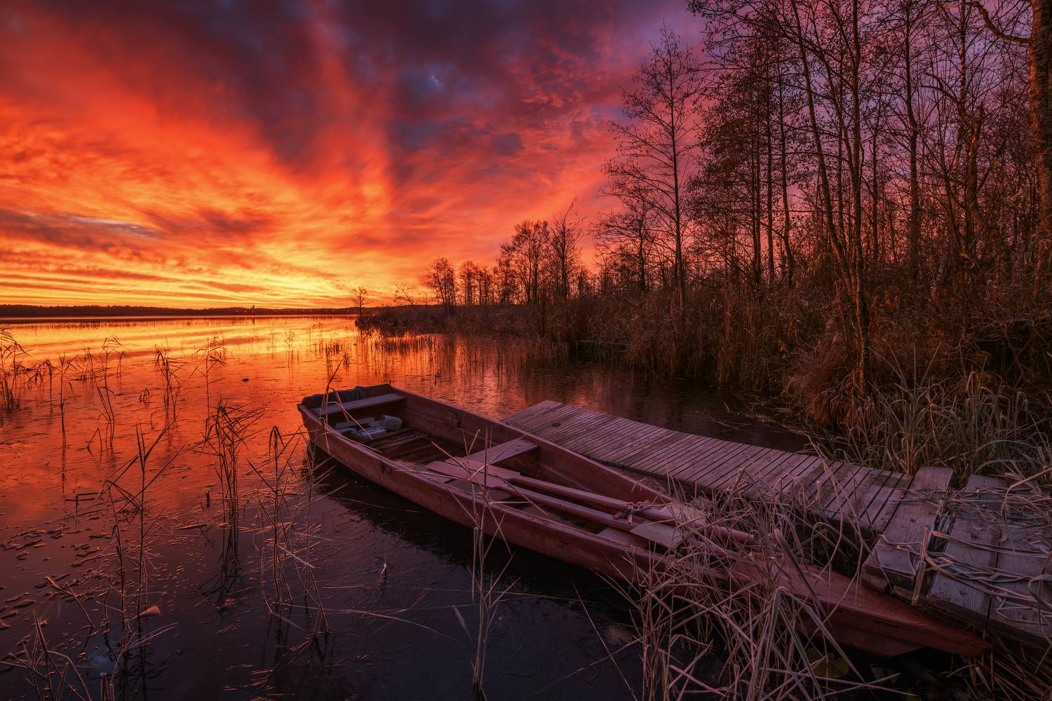 Вашутино, Максим Евдокимов
