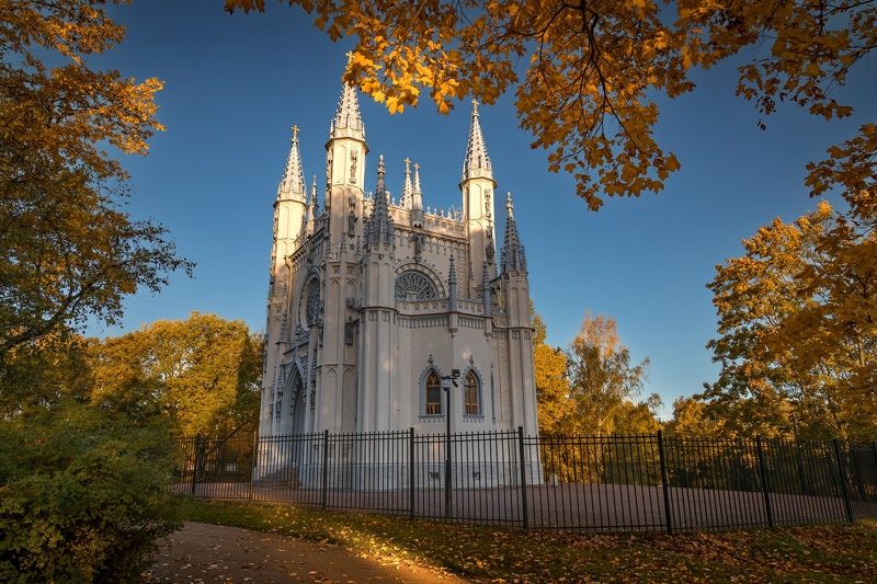 петергоф, утро, осень, парк Осенним утром фото превью