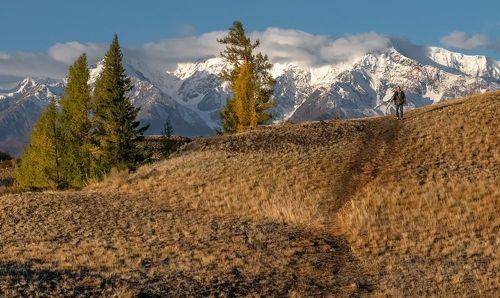 Неожиданная встреча