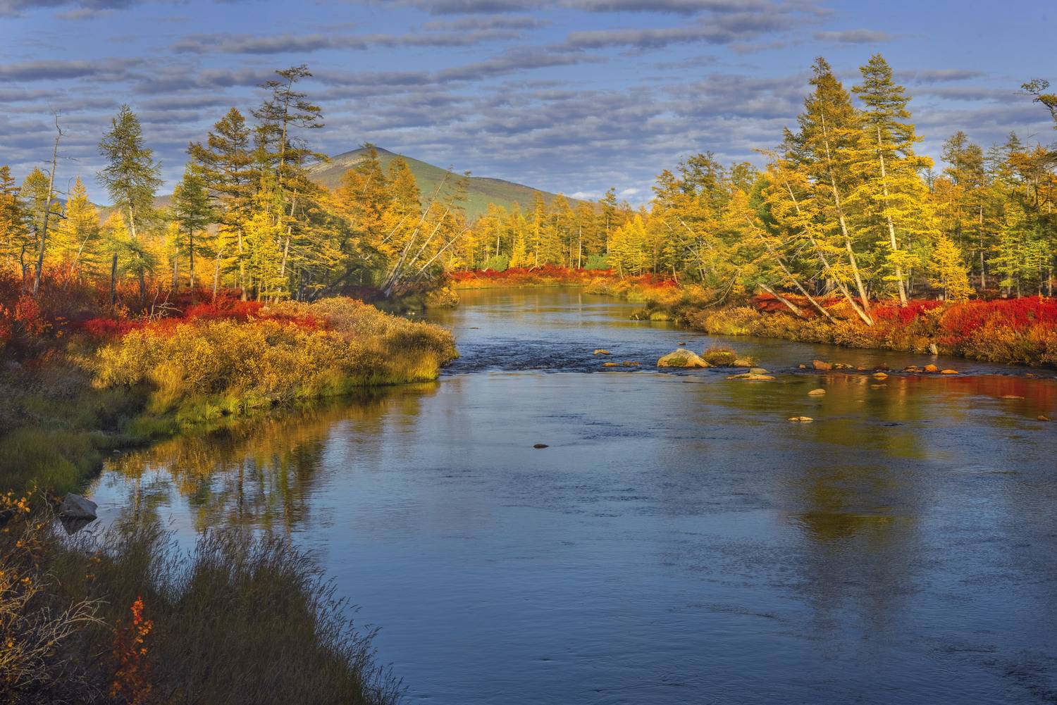 Фототуры с Владимиром Рябковым, #topnature #russpasibo #magic_shots #lovelyRussia #sunset_vision #exclusive_sky  #exclusive_shots #loves_russia2 #photoarena_nature #nature_sultans #nature_perfection #rsa_sky #rsa_sunset #photorussia #rsa_naturepics #sunse, Владимир Рябков