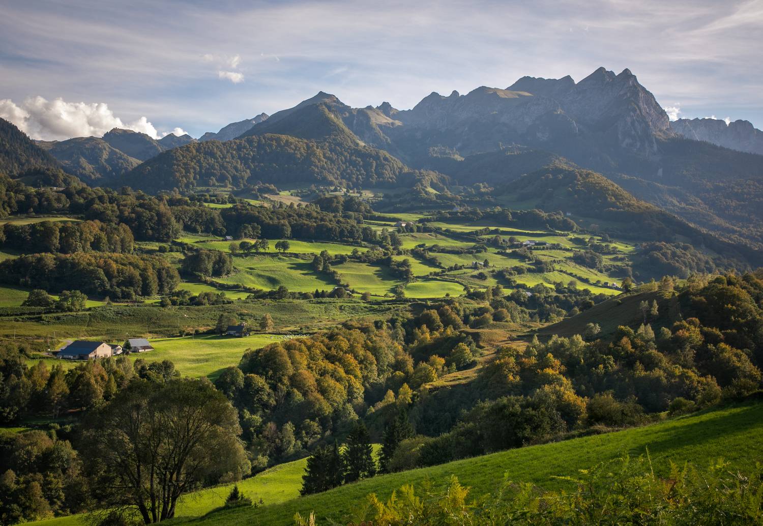 , Алекс Римский