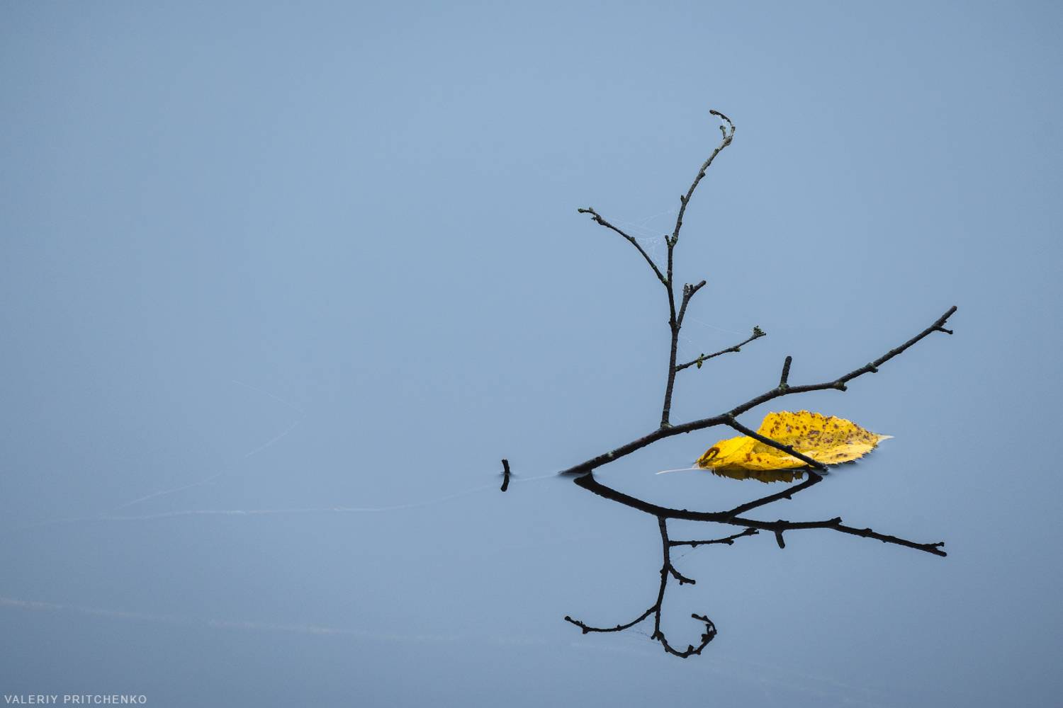 , Валерий Притченко