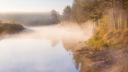 Когда ещё не снят с реки покров туманный