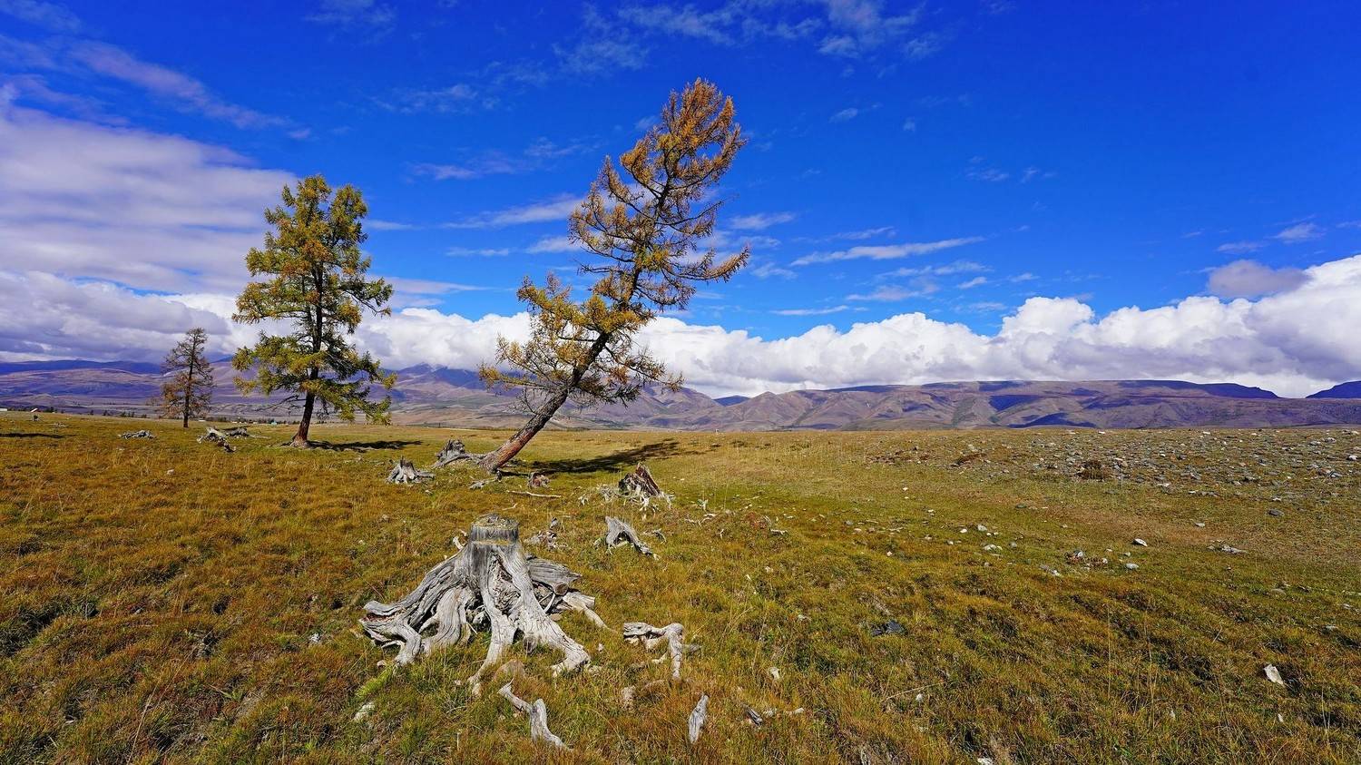 Алтай, Сибирь, Россия, Andrey Politov