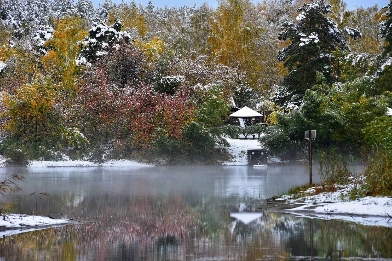 , Ватрушкин Максим