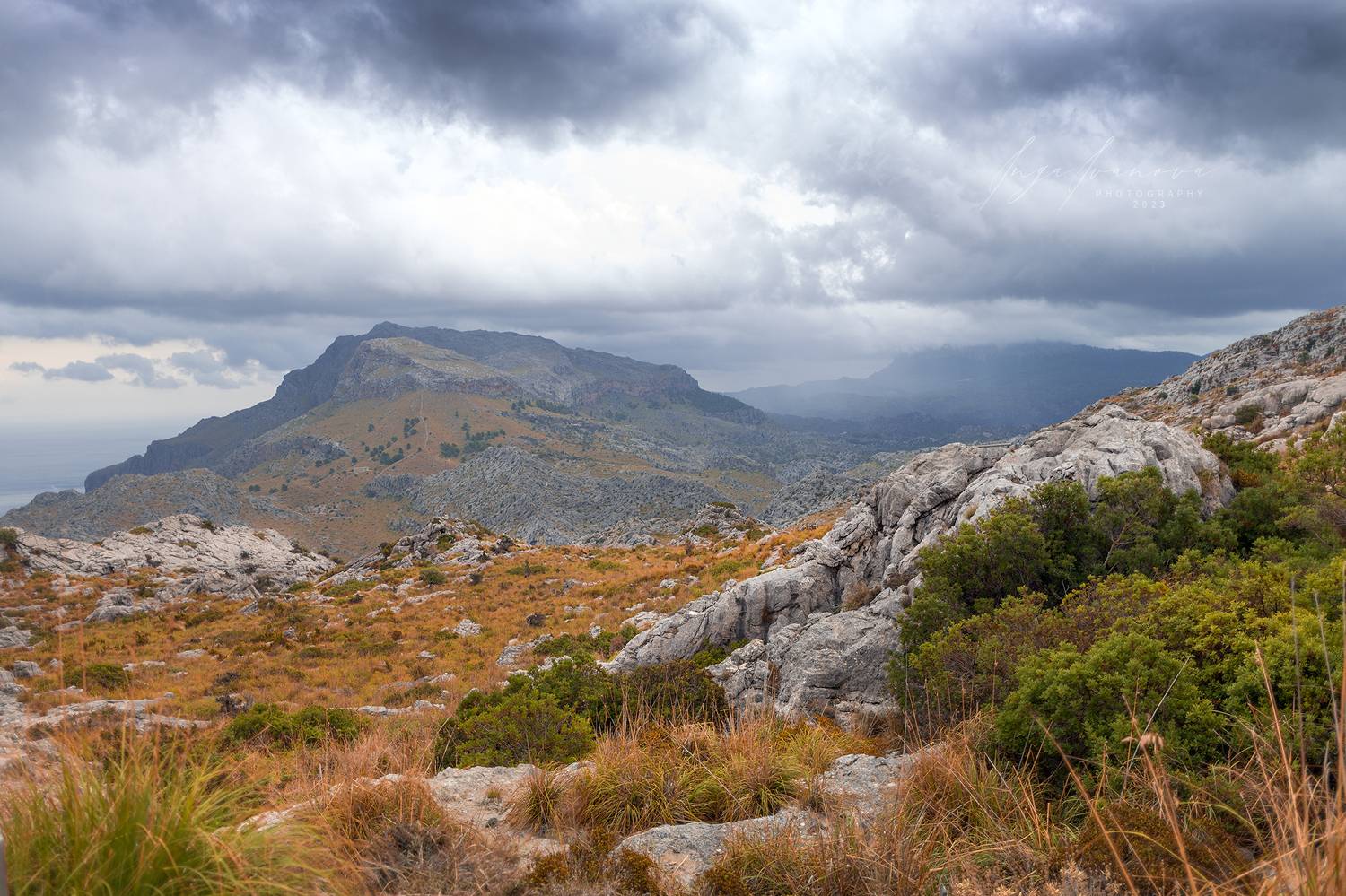 , Инга Иванова