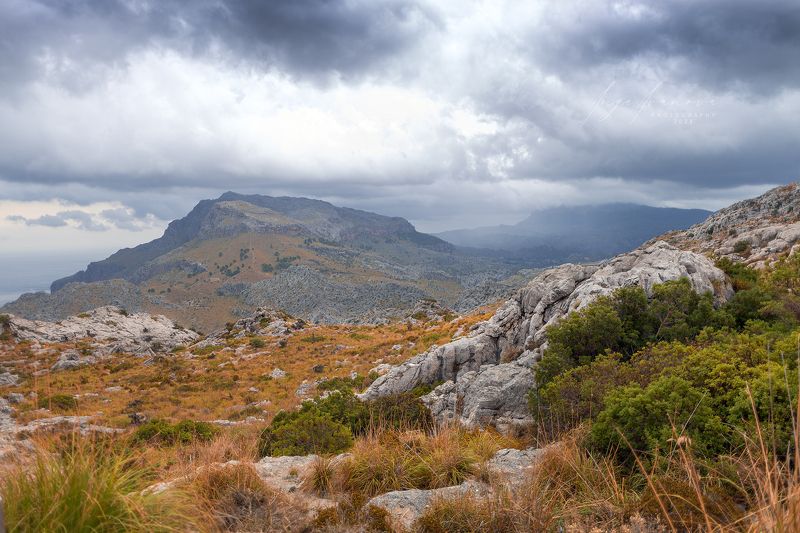 Maljork фото превью