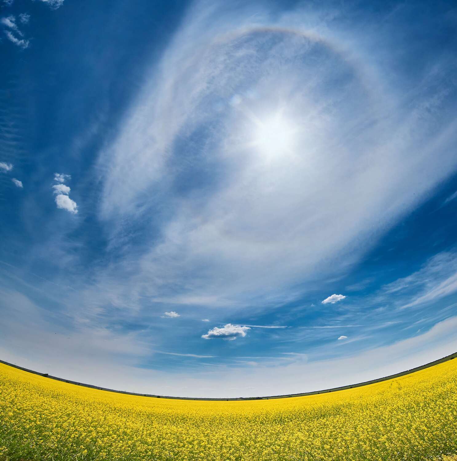 sun, halo, volgograd, russia, wildlife, summer, , Сторчилов Павел
