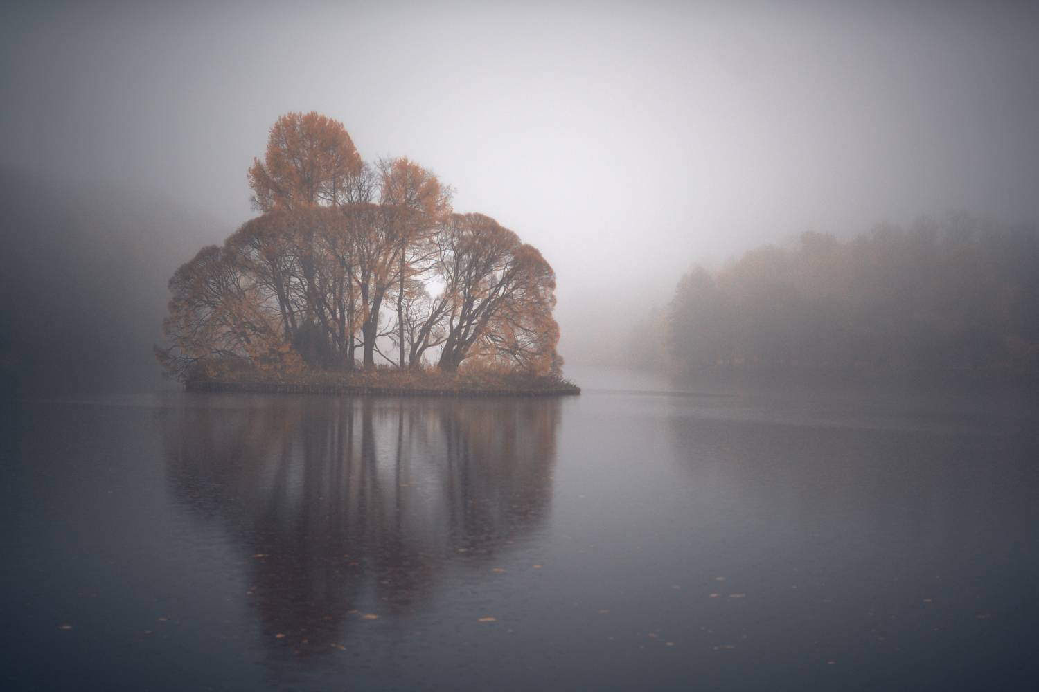 , Сергей Кот