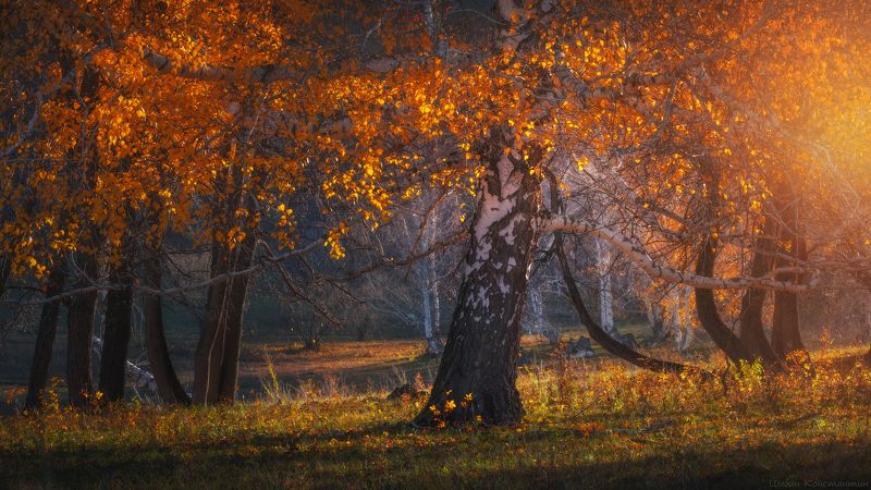 башкортостан, южный урал, уральские горы, золотая осень Золотая осень в Башкирии фото превью