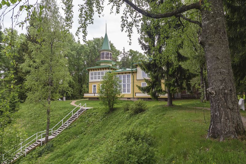 дача, дом, парк, лес, берёза, лестница, ель. В гости к художнику А.А. Борисову. фото превью