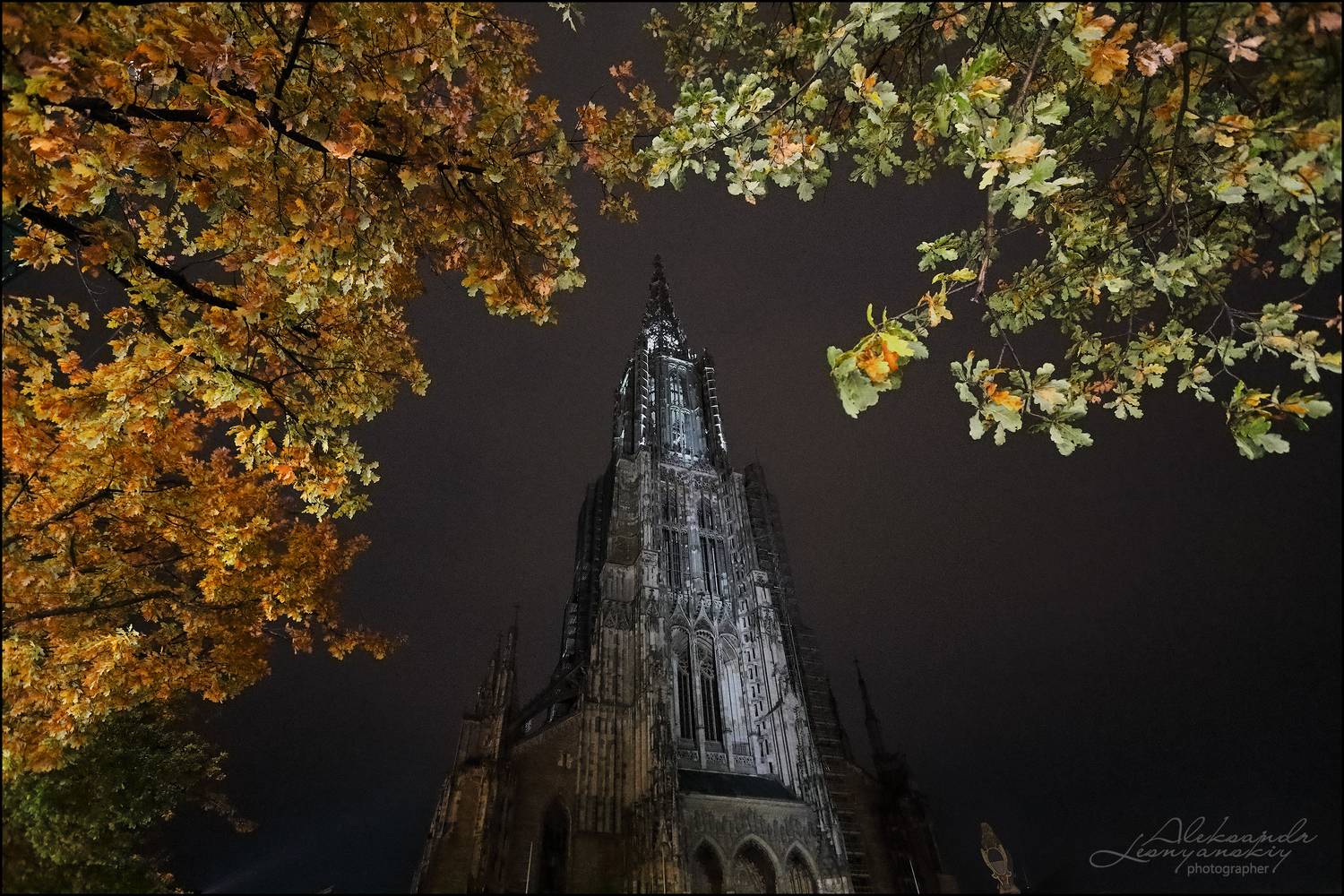 , Александр Леснянский