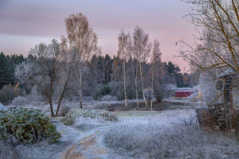 серково, утро, иней, октябрь Утренняя сказка. фото превью