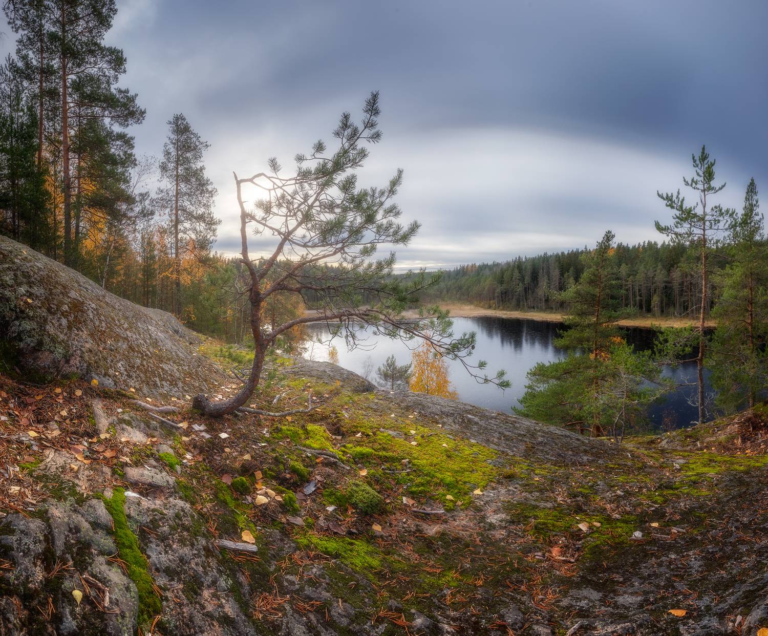ленобласть, карелия, озеро, лес, осень, Марголин Алексей