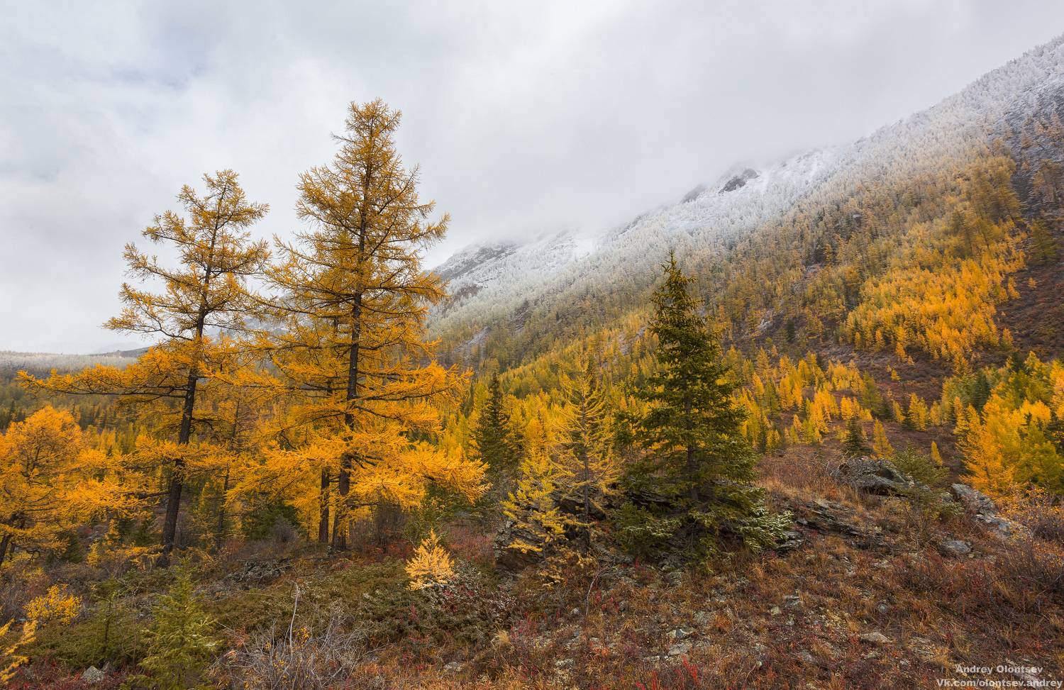 солнце, россия, рассвет, природа, подмосковье, погода, пейзажи, пейзаж, отражение, наукоград, красота, дубна, вода, весна, weather, water, spring, russia, reflection, naukograd, nature, moscow, landscape, dawn, canon, dubna, beauty, Олонцев Андрей