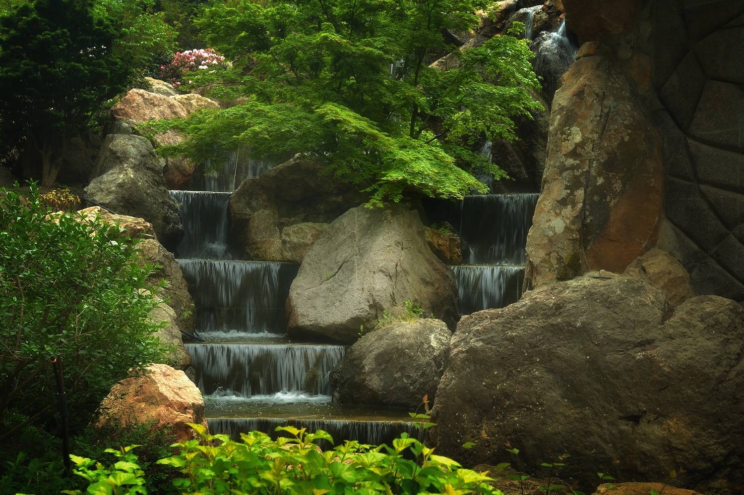 , Алексей Никонов