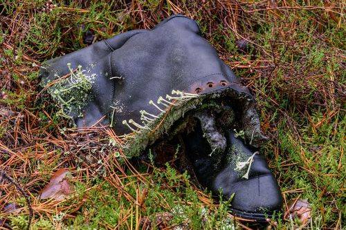 Модный дизайн - New stile