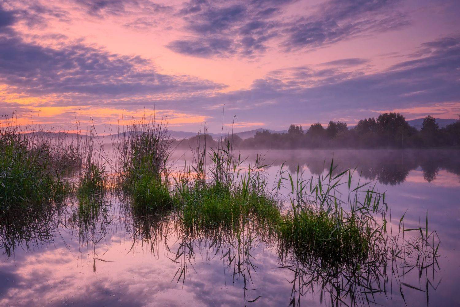 забайкалье, озеро, утро, лето, Владимир Климов