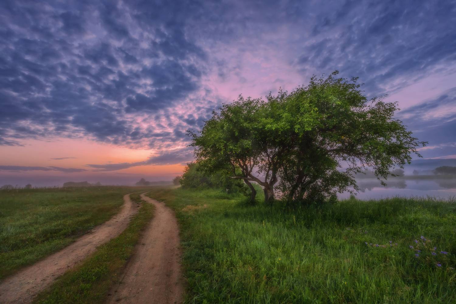 , Владимир Климов