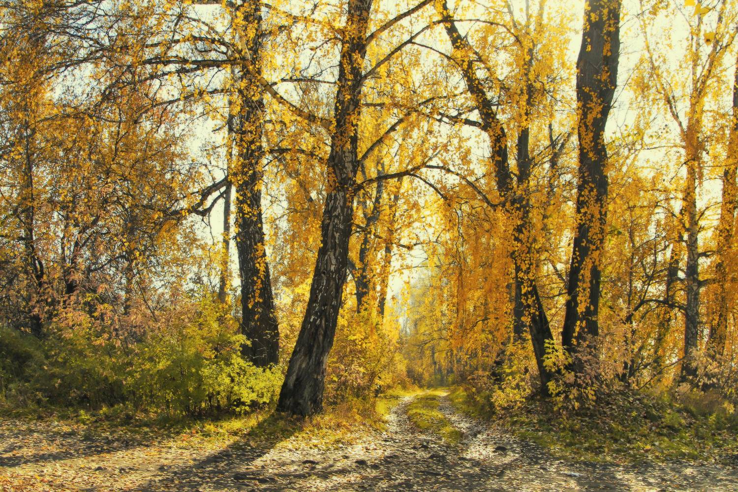 , Гагик Мхитарян