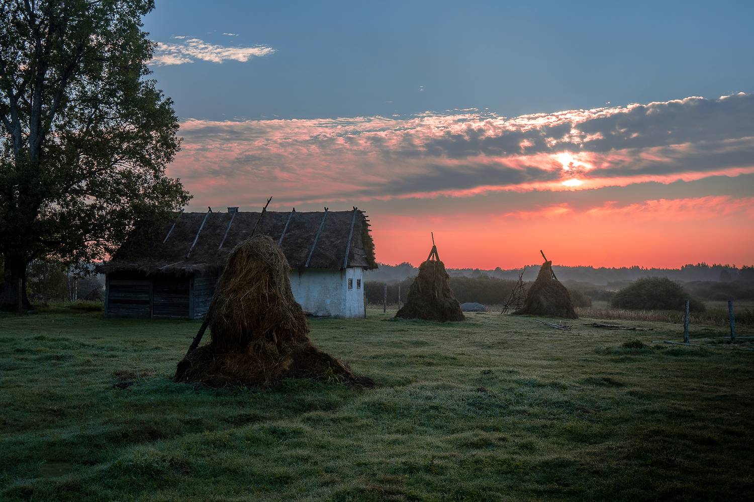 , Добродий Михаил