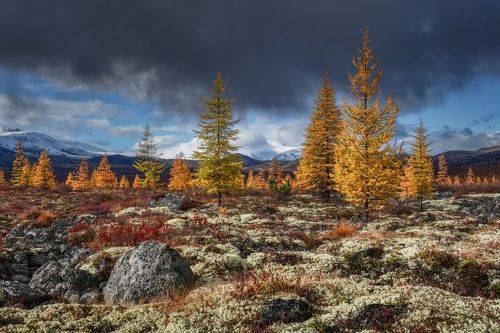 Солнечные ванны...