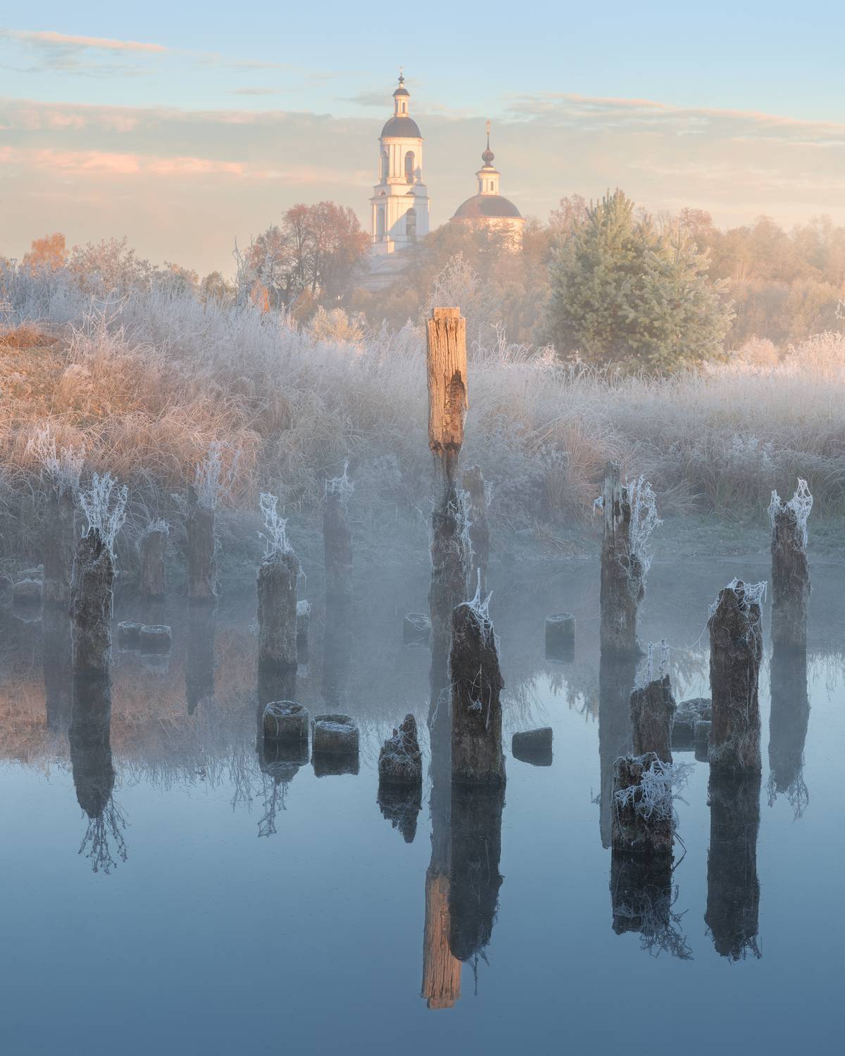 , Политова Анна