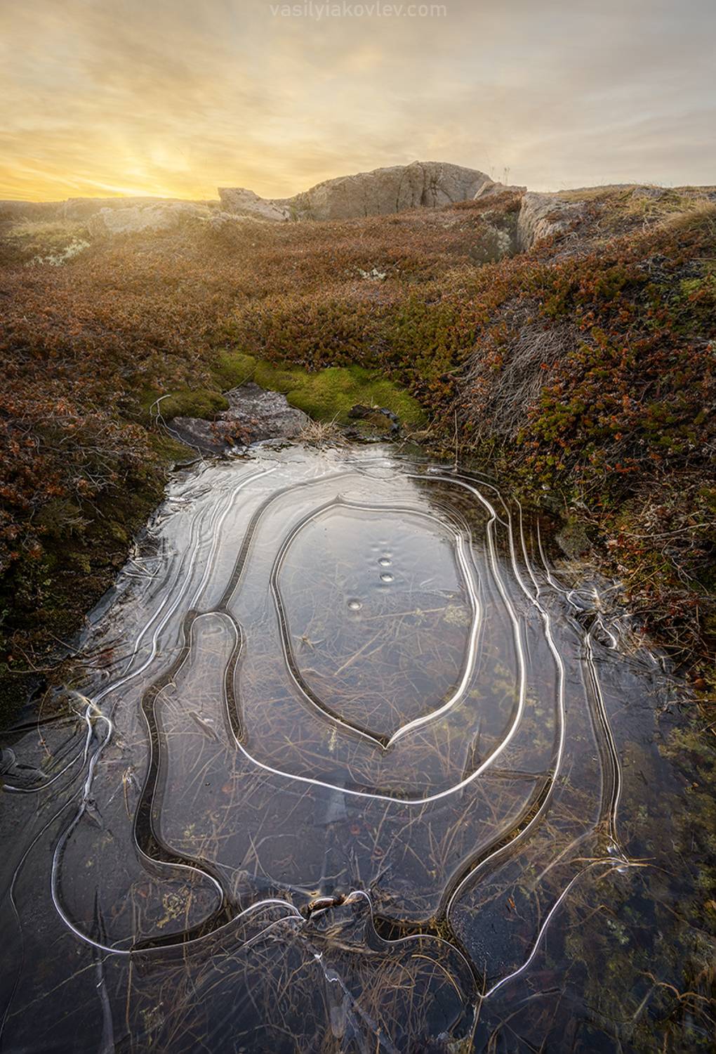 кольский, фототур, яковлевфототур, териберка, северноесияние, арктика, Василий Яковлев