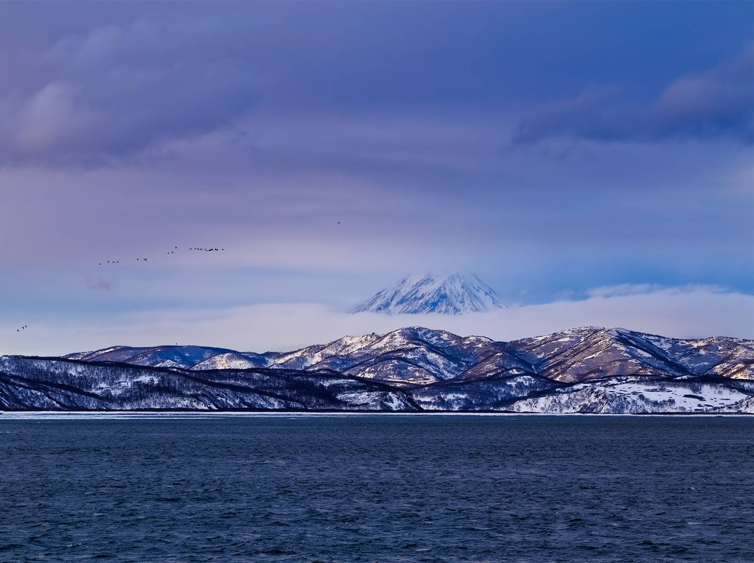 рейд, зима, камчатка, вулкан, утро, стая птиц, туман, Евгений Паршуков