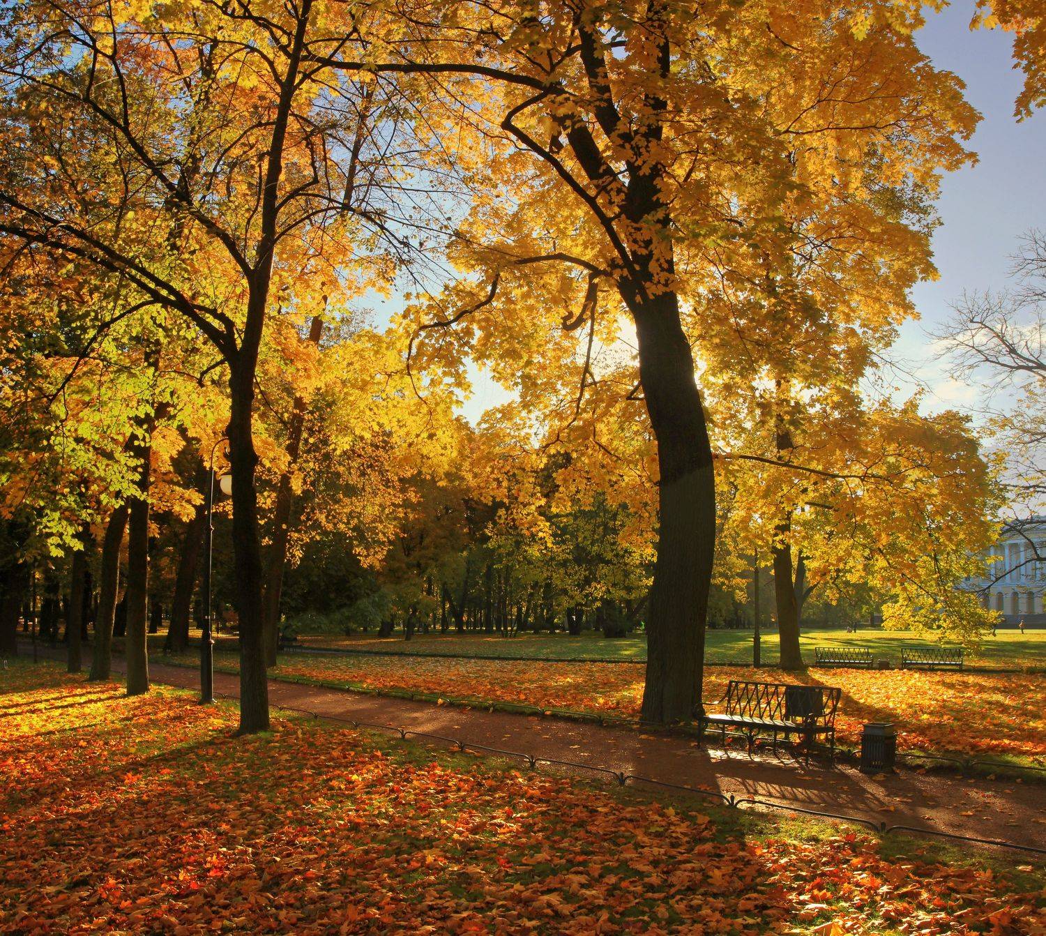 , Сергей Григорьев