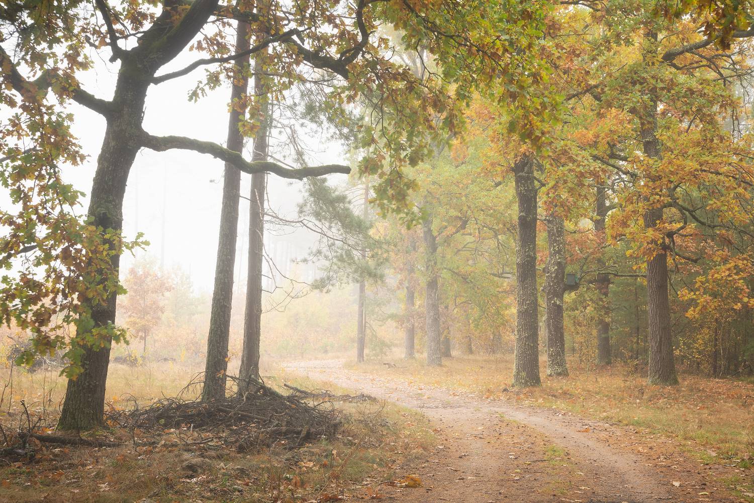 , Захаров Дмитрий