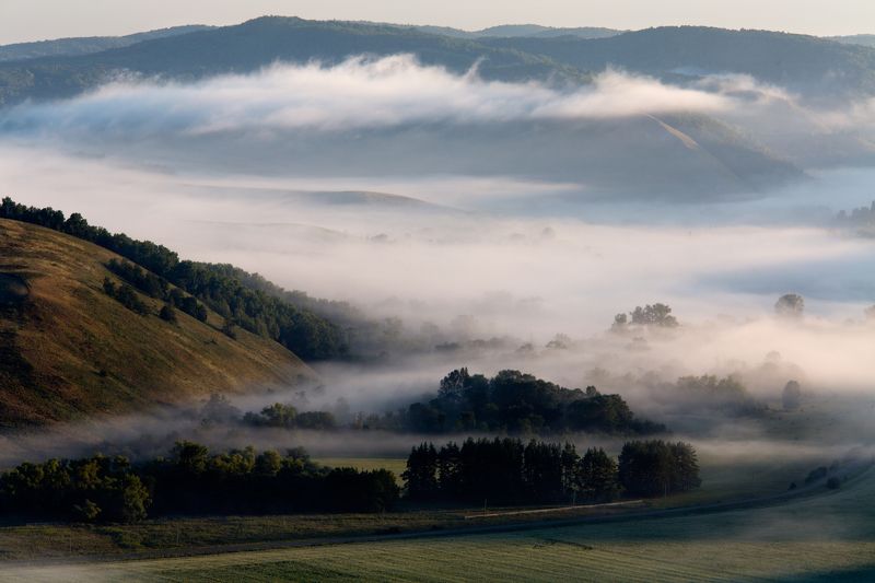 туман,пейзаж,утро,fog,landscape,morning Туман в долине фото превью