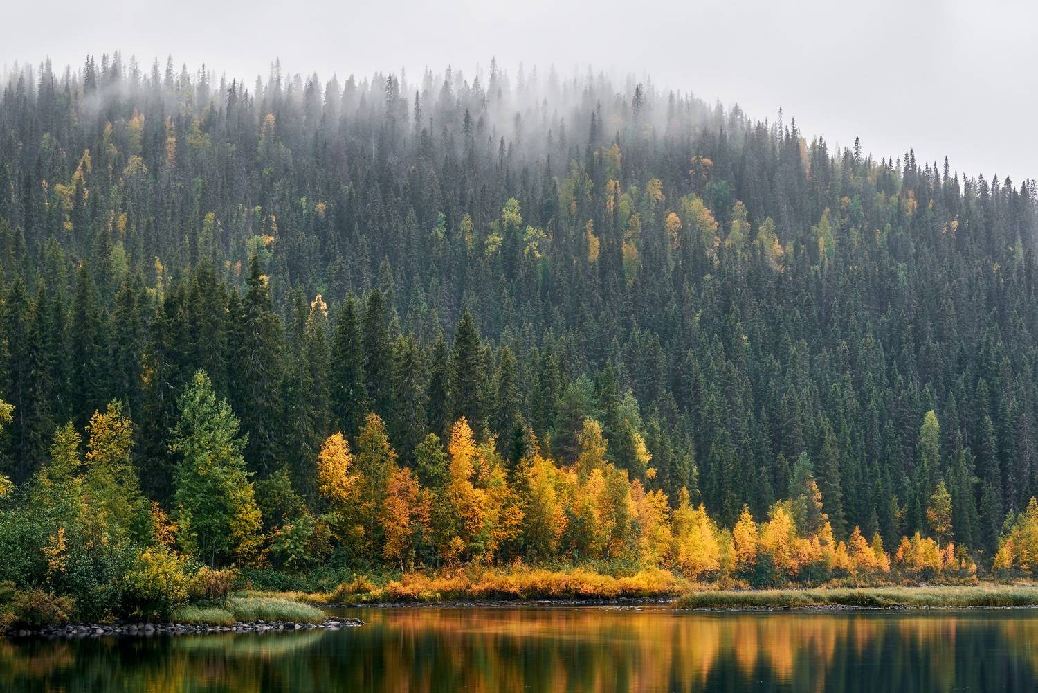 карелия, паанаярви, Андрей Баскевич