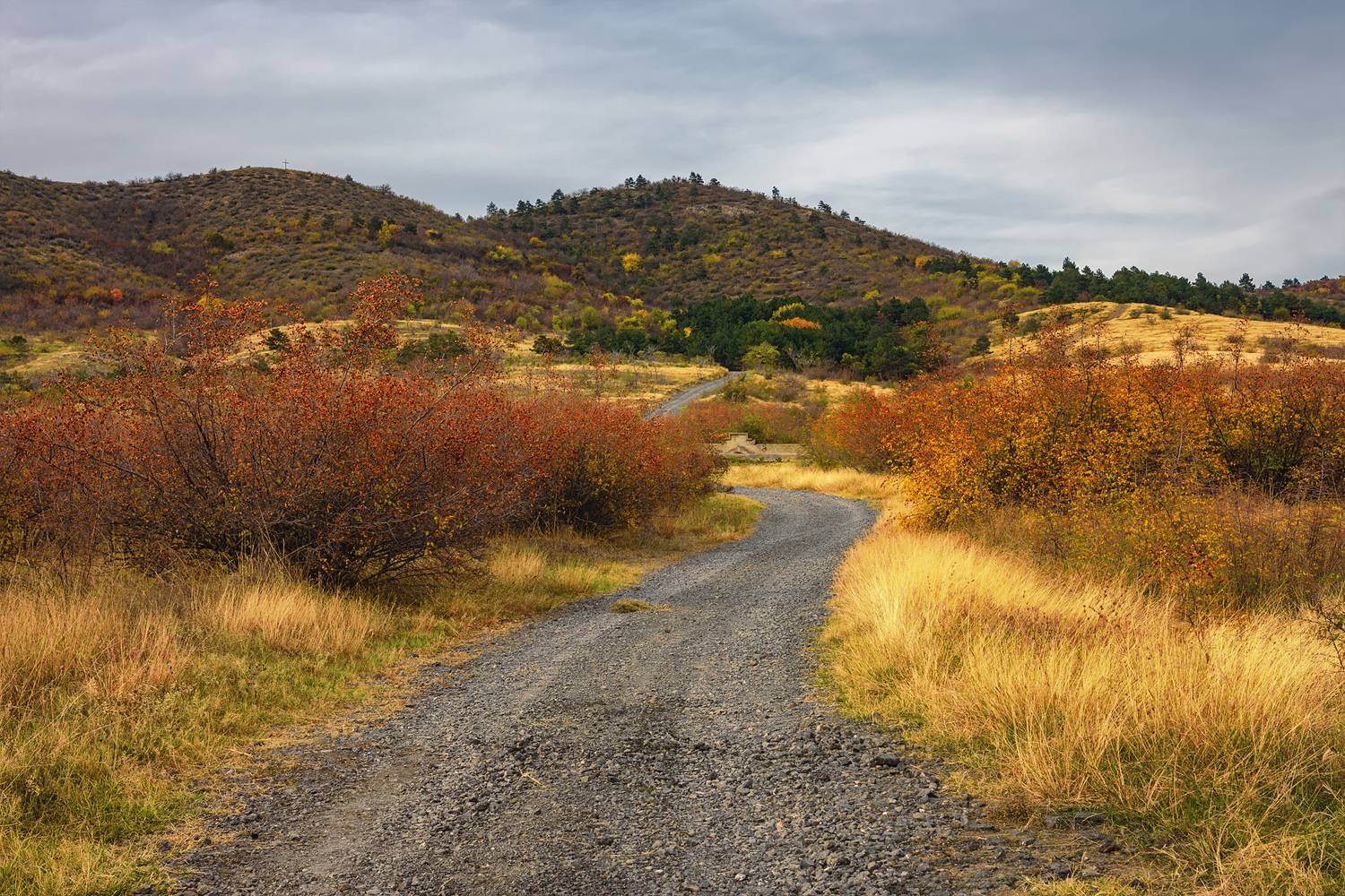 осень горы дорога кусты трава деревья, Вера Ра