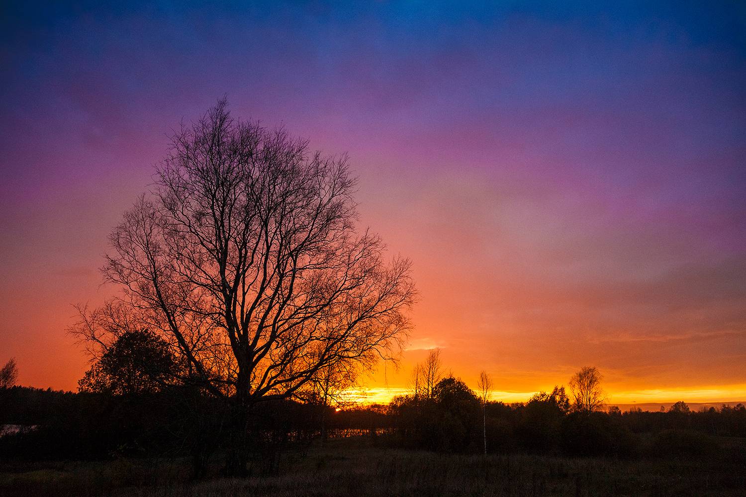, Напалкин Станислав